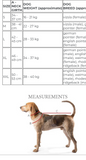 Harnais Hound
