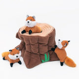Renards dans un tronc