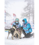 Harnais Polar Quest