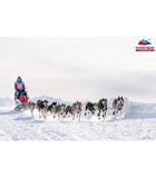 Harnais Polar Quest