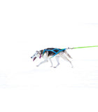 Harnais Polar Quest