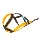 Harnais Polar Quest