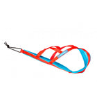 Harnais Polar Quest