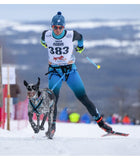 Ligne skijoring avec détache rapide