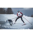 Ligne skijoring avec détache rapide