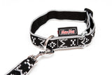 Collier Puppy