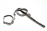 Collier Puppy