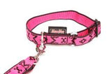 Collier Puppy