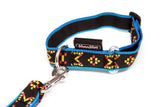 Collier Puppy
