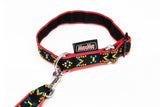 Collier Puppy