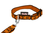 Collier Puppy
