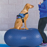 FitPaws® TRAX™ Peanut