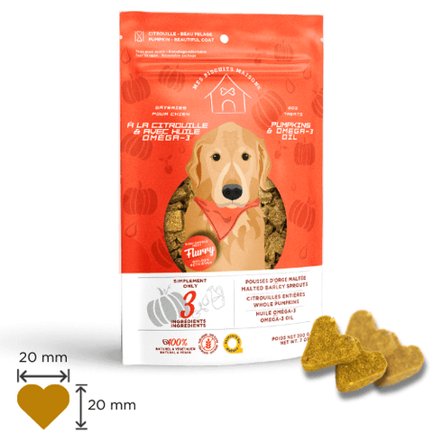 gâterie hypoallergénique pour chien à la citrouille & à l'huile oméga 3