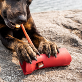 Bully stick safety holder