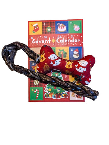 Calendrier de l'avent - 1 chien