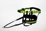 Ceinture Race Pro