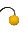 Balle Dock Diving