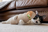 Moewmy - Catnip