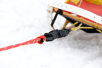 Bungee for Sled