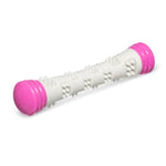 Dental stick, With squeaker